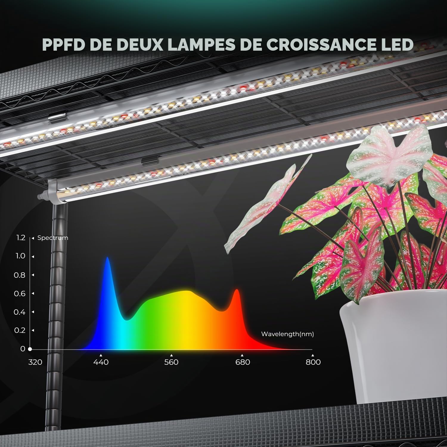 MARS HYDRO 2025 Support pour plantes avec lumières de culture, étagère pour plantes à 4 niveaux avec 6 lampes LED à spectre complet (150 W, 3 pieds) et tente de culture pour légumes, semis