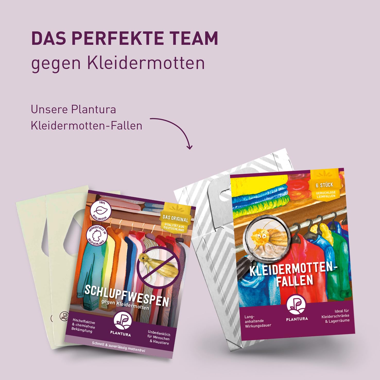 Plantura Schlupfwespen gegen Kleidermotten, Komplett-Lösung mit 12 Karten (3 Karten à 4 Lieferungen) - hochwirksame & nachhaltige Bekämpfung, Alternative zu Mottenkugeln