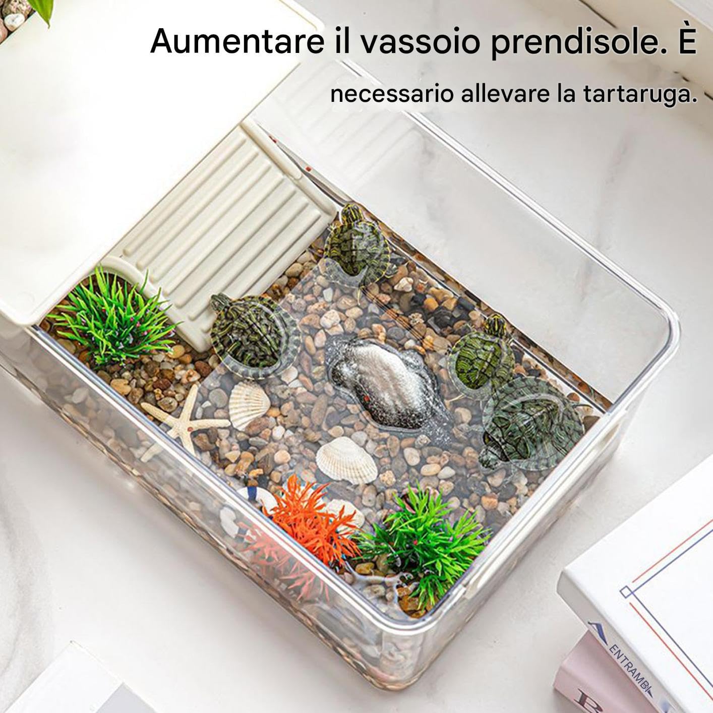 Terrario per Tartarughe - Zona Basking Per Tartarughe - Terrario Trasparente Con Area Basking Per Alimentazione Rettili Osservazione Quotidiana Di Granchi Eritti E Rane