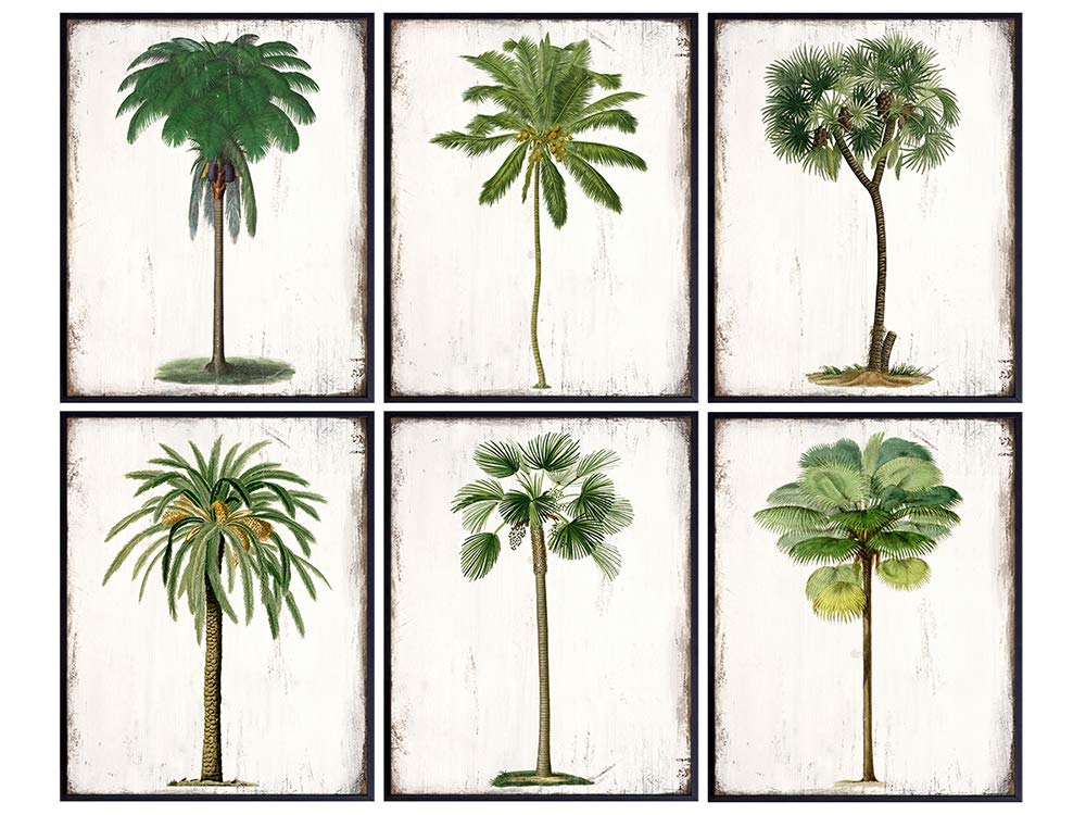 Palm Tree Decor - Tropical Wall Decor - Rustic Vintage Botanical Prints Wall Collage - Hawaiian Art - Tropical Decorations - Beach House Picture -