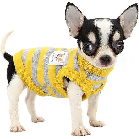 1 month puppy clothes Clearance