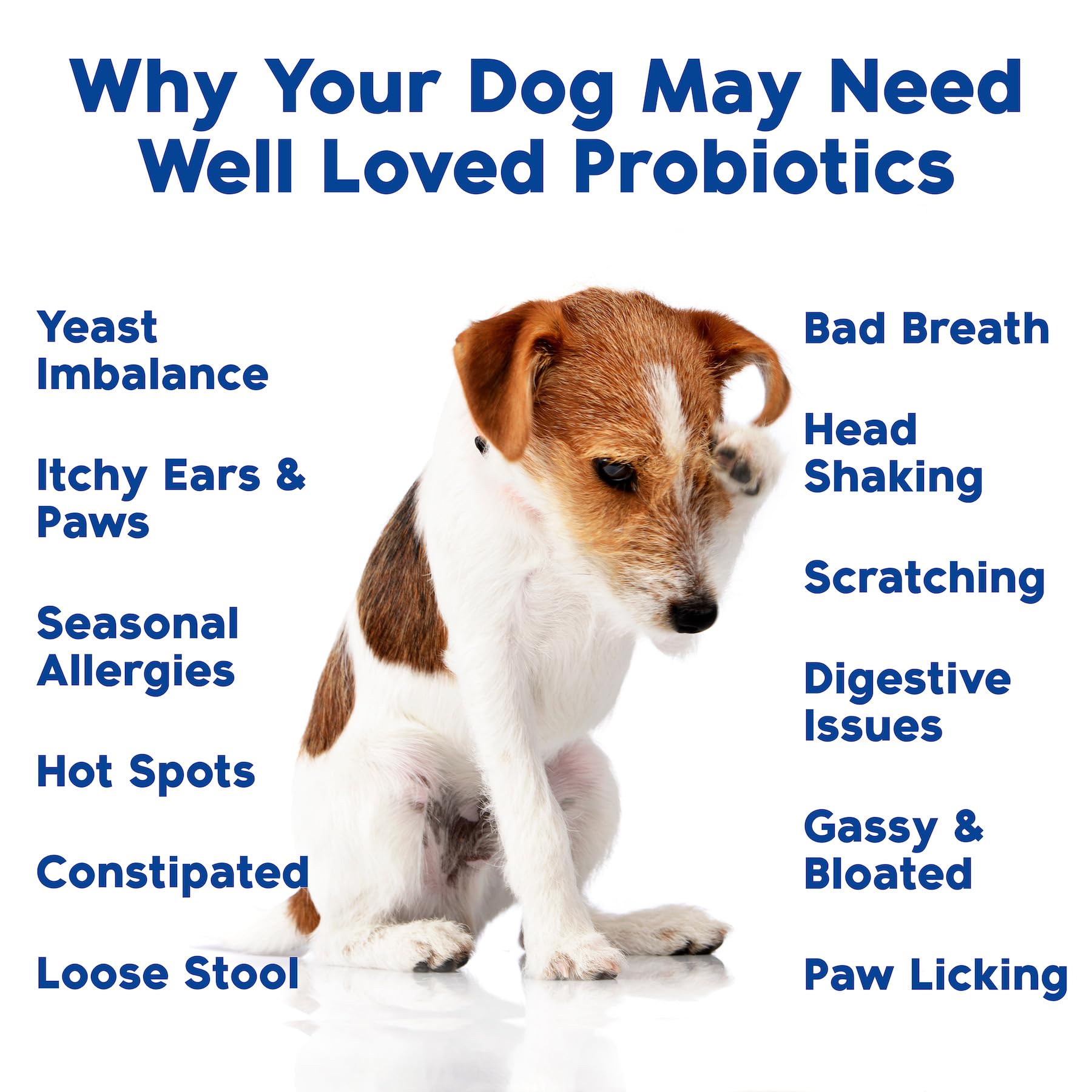 Well Loved Probiotics for Dogs, Dog Probiotics, Made in USA, Vet Developed for Gut Health, Yeast Balance, Itchy Skin, Diarrhea & Gas Relief, Chews with Prebiotic & Digestive Enzymes, Digestive Support - image 5