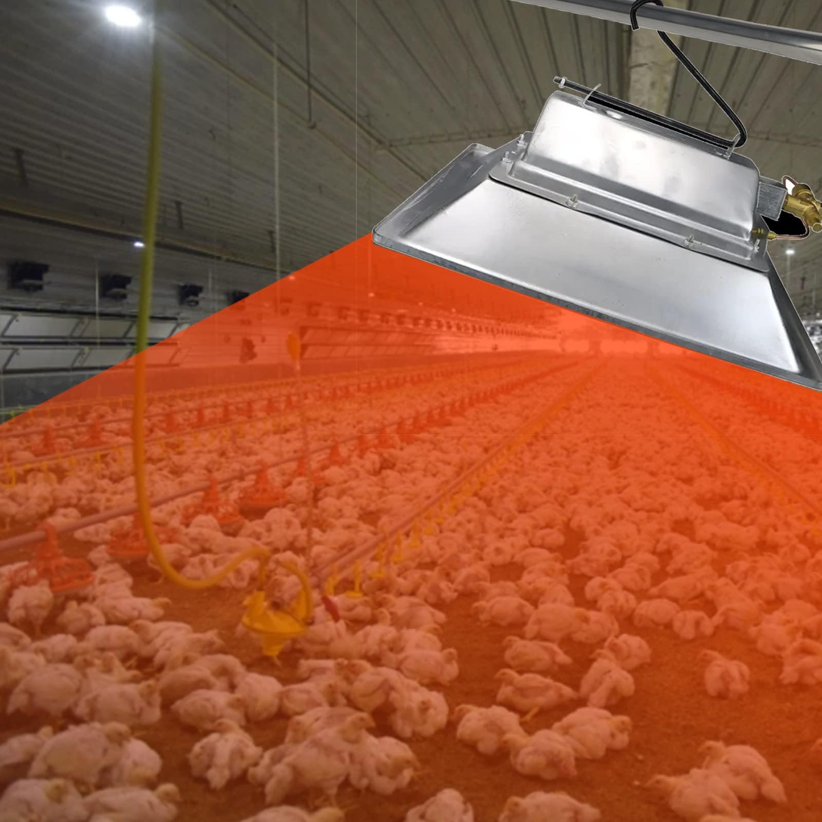 Calentador De Gallinero, Equipo De Calefacción De Granja Avícola, Granja De Pollos De Invernadero, Calentador De Criadora De Gas Infrarrojo Para Pollitos Patitos Codornices Ganso,Liquefied gas