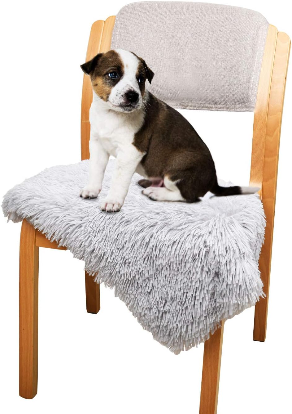 Dog Cat Bed Fleece Blanket Cover for Pets, Fluffy Shag Dog Pet Throw Blanket for Small, Medium Dogs, Cats, Multiple Use for Couch Protection, Dog Bed, Sofa and Car Backseat (Small 14"x 22") : Pet Supplies