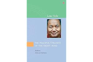 Unveiling a Silent Mind: Exploring Buddhism, Mind, and Meditation