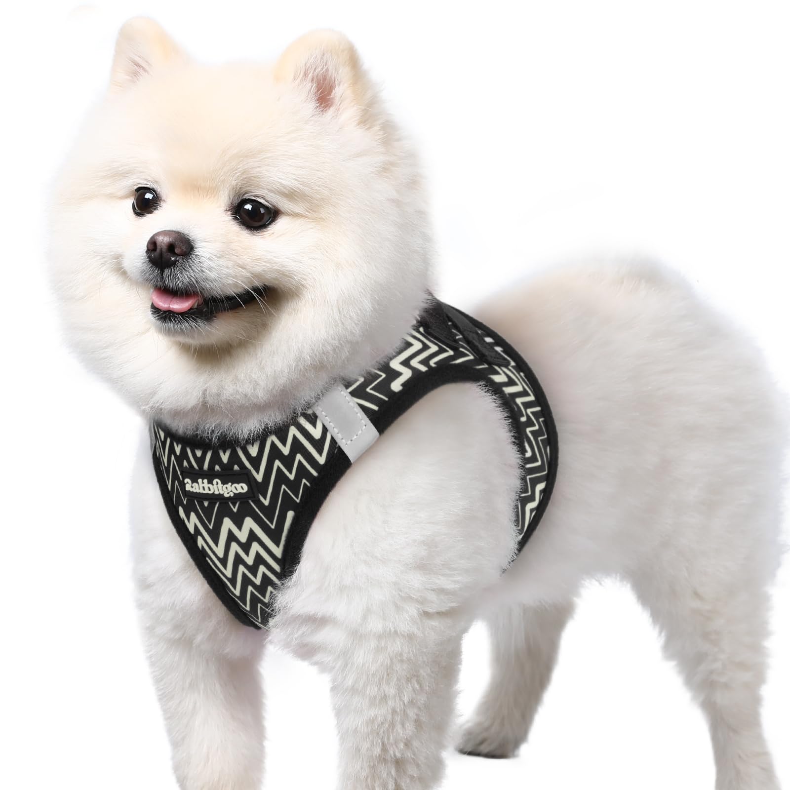 rabbitgoo Dog Harness Small Dog, Step-in Soft Mesh Puppy Harness with Reflective Strips, Lightweight Breathable Pet Vest for Walking Training, Black Zigzag, S