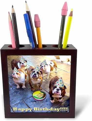 3dRose ph _ 39567_ 1Bulldog Inglés cumpleaños para azulejos soporte para bolígrafos, 5-inch