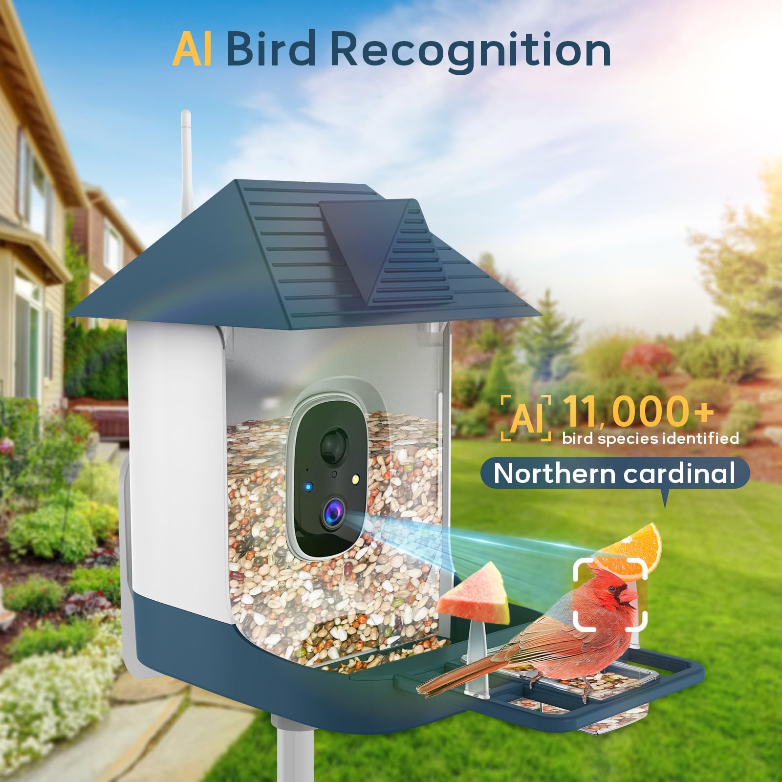 Comedero para pájaros con cámara, WiFi para exteriores inteligente con reconocimiento de pájaros AI integrado, alimentado por energía solar, grabación automática de video por almacenamiento en la nube 4