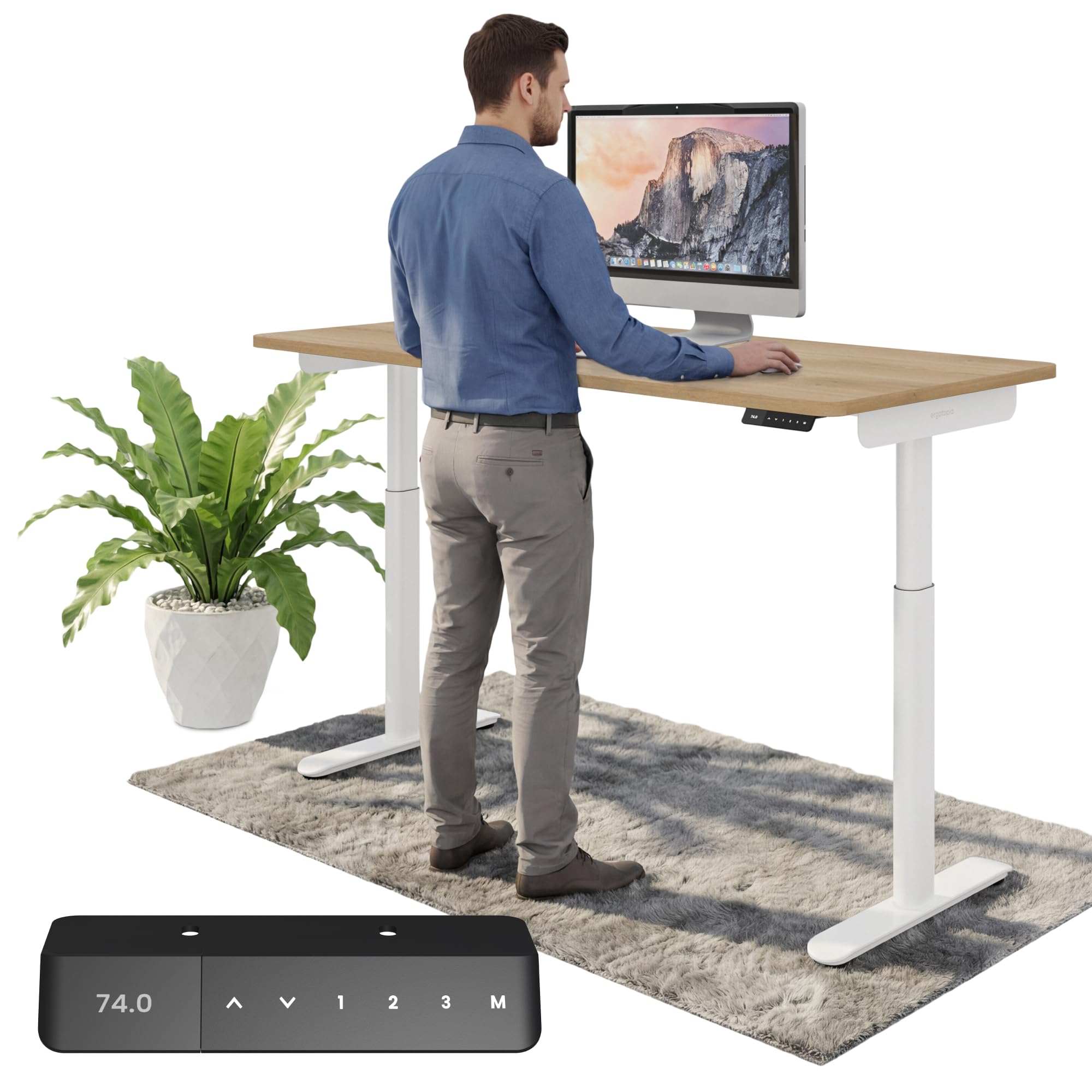 Ergotopia Desktopia One - Escritorio eléctrico regulable en altura, altura regulable, mesa ajustable con certificación TÜV, 120 x 65 cm