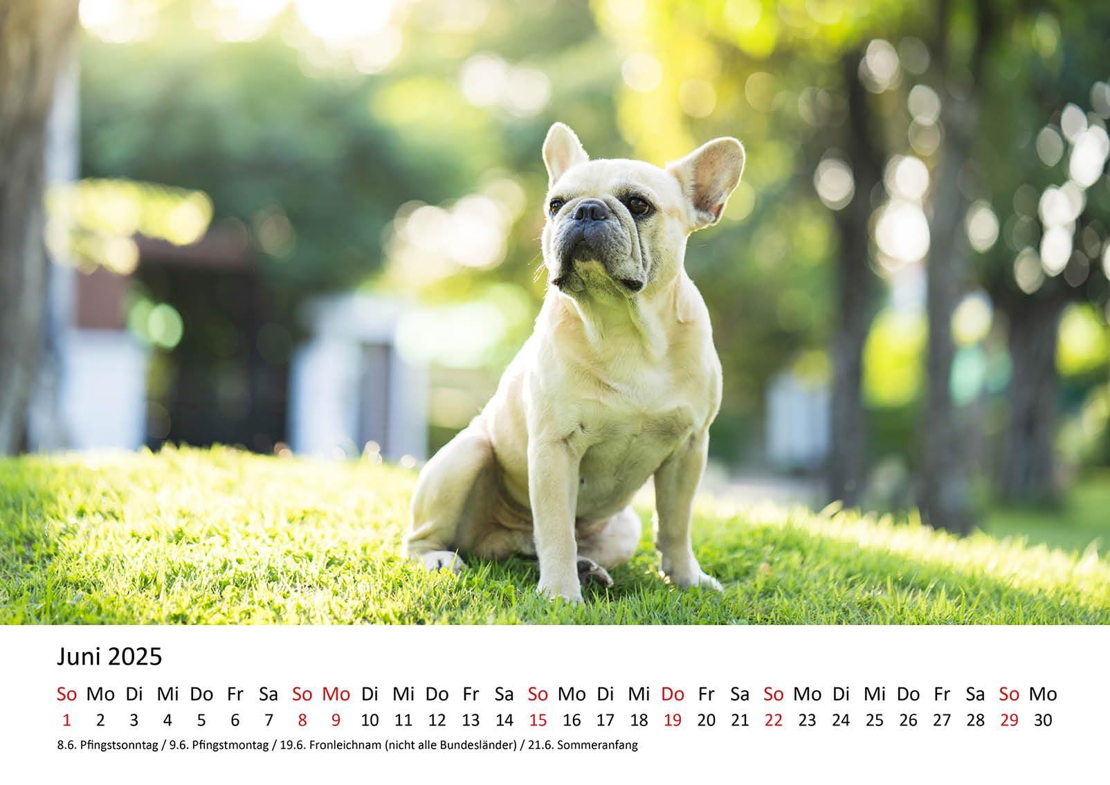 Calendrier Mural 2023 Pour Chiots - Format A3 - Nature - Animaux