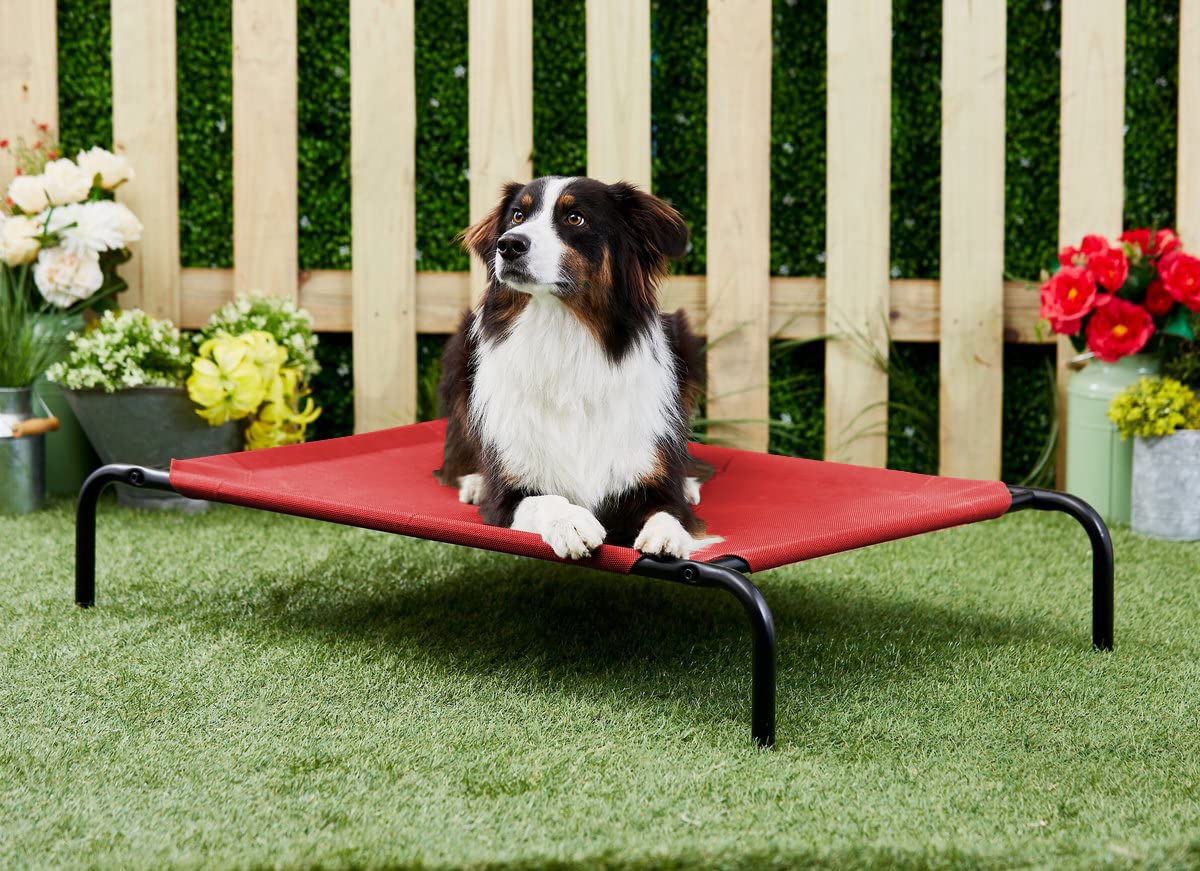 Furrlovers Elevated Raised Waterproof Summer Winter Cotton Canvas Indoor Outdoor Dog Cat Pet Bed (47x25x7.5 inches), (Cotton Canvas) (BED 38X25 - Red) (B0D56DKMTC) Amazon Price History, Amazon Price Tracker