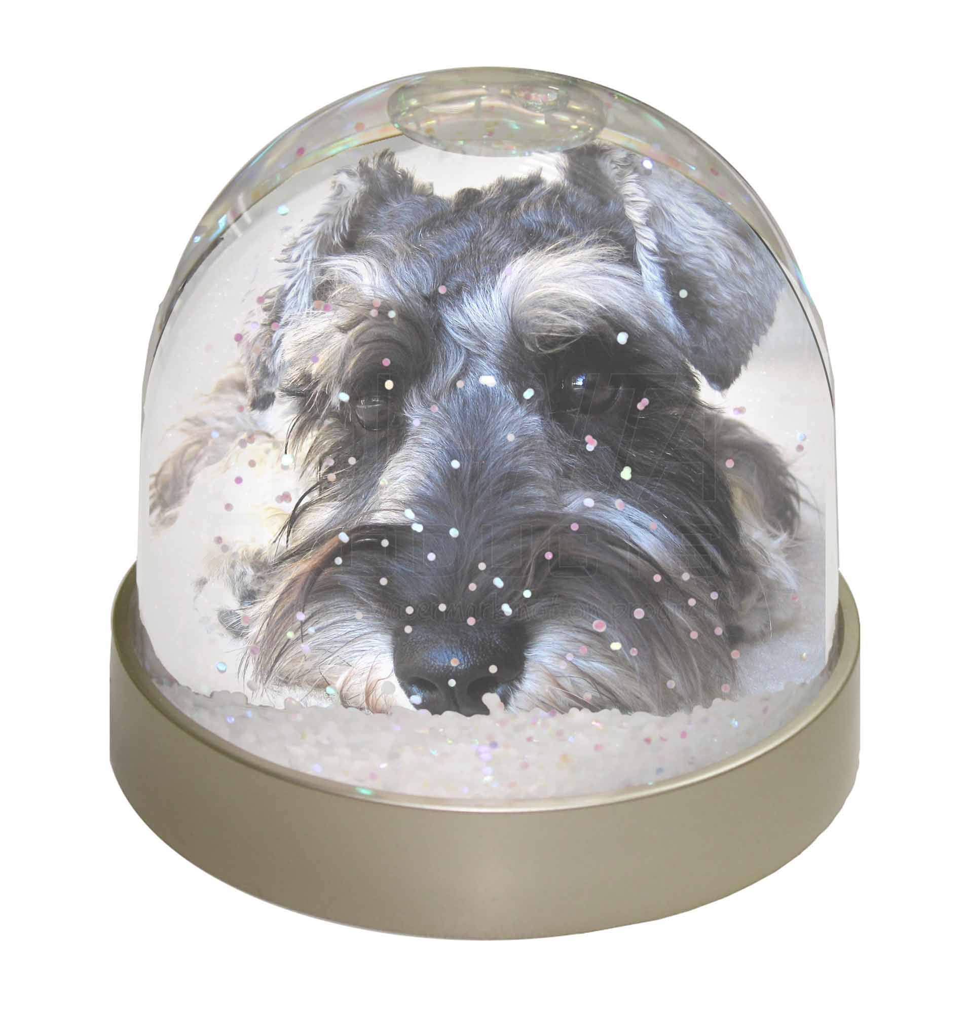 Schnauzer Dog Photo Snow Globe Waterball - Advanta Group®