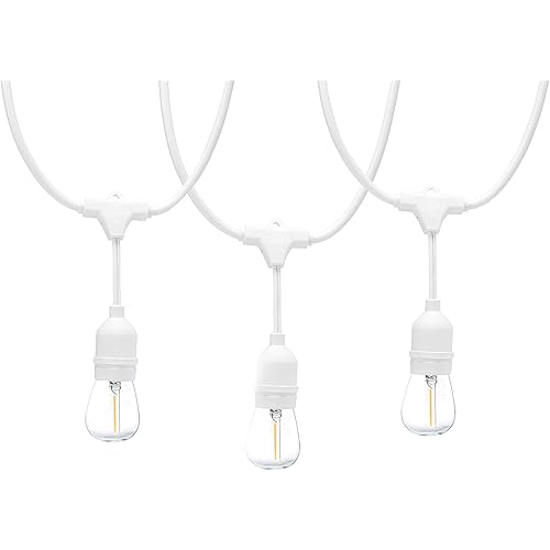 Amazon Basics 48-Foot LED Commercial Grade Outdoor String Lights with 16 Edison Style S14 LED Soft White Bulbs - White Cord
