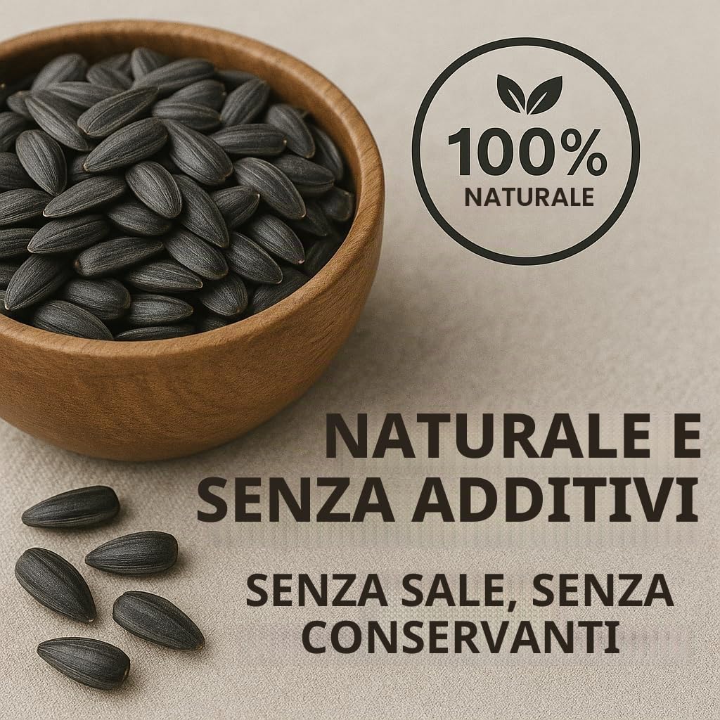 GiDeli Semi di girasole nero, 25 kg, in mangime per uccelli selvatici, per tutto l'anno