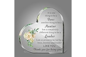 Boss Lady Gifts for Manager:Acrylic Office Desk Gifts for Leaving Job Appreciation...