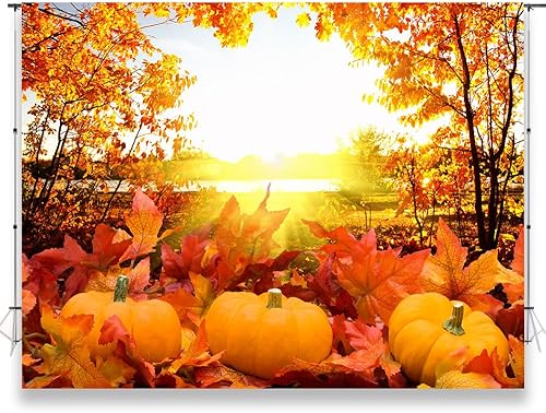 KUKUSOUL 7x5ft Pumpkin Background Autumn Maple Forest Photography Backdrop for Harvest Party Banner Decor Portrait Photobooth Studio Props KUBYC564