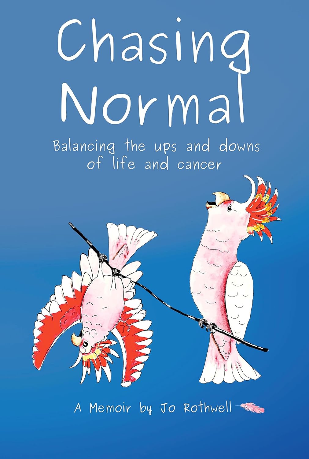 Chasing Normal: Balancing the ups and downs of life and cancer A memoir ...