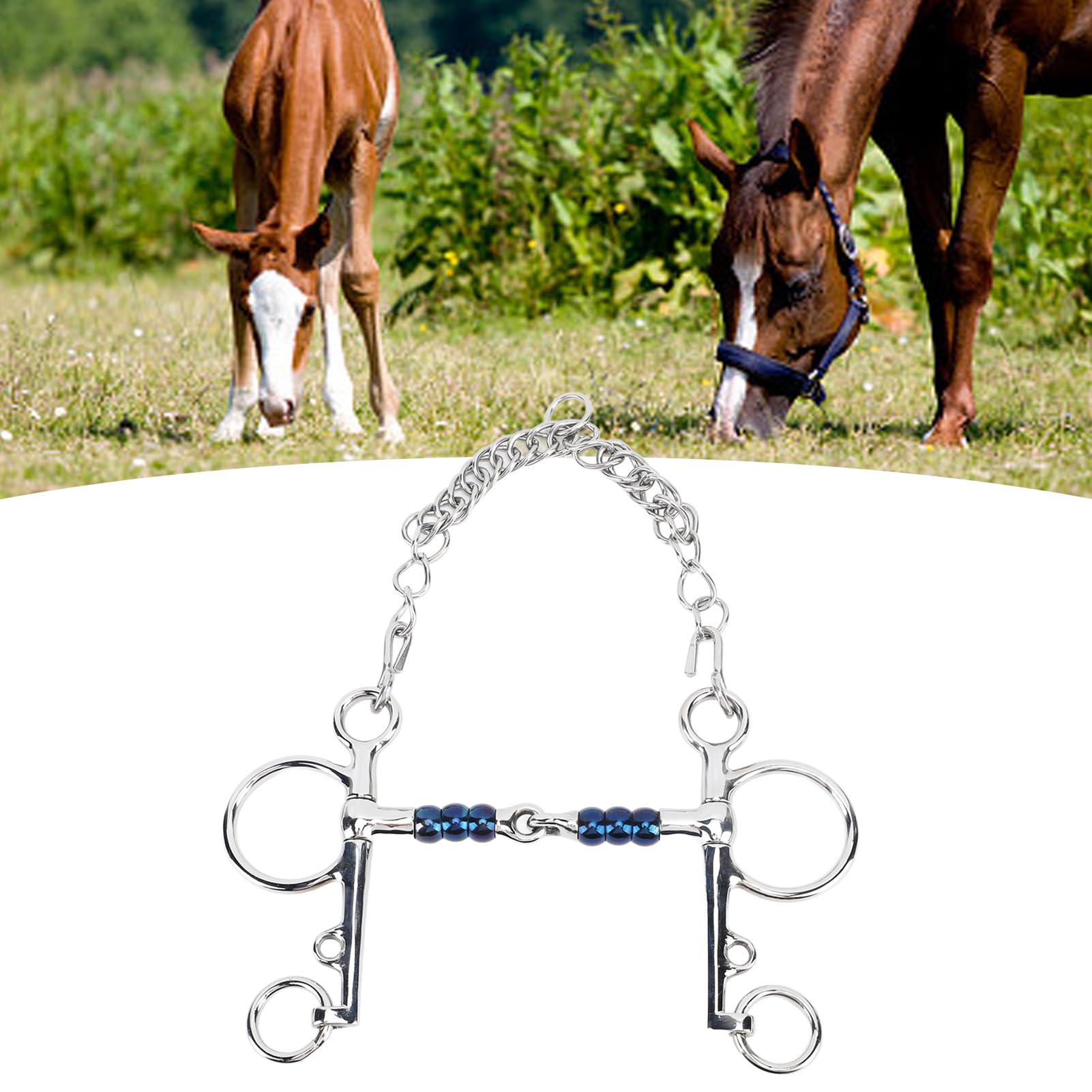 Mors pour Cheval Acier Inoxydable 125mm, Mors Pelham de Dressage, Équipement Équestre Résistant - Haute Solidité, Conception Anti - Morsure, Contrôle Optimal en Compétition