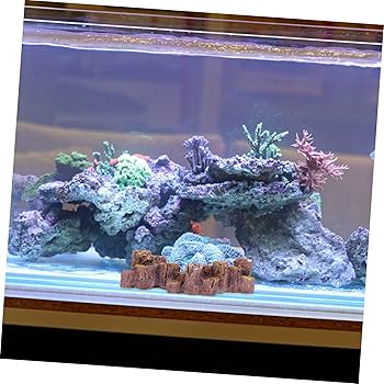 MJW-6618 ジンジャーウッド2本セット　天然流木　アクアリウム　爬虫類 MJW-6066 「特大」ジンジャーウッド 90cm水槽用 天然流木2本