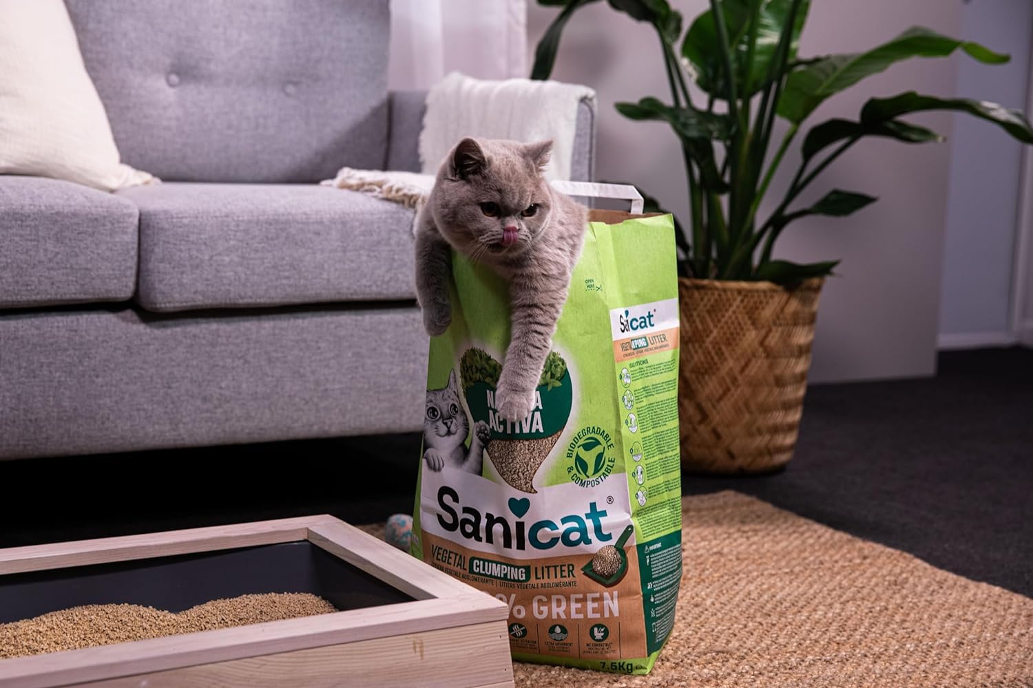 Sanicat – Lettiera vegetale agglomerante Natura activa 100% Green | Altamente assorbente e forma i grumi in modo naturale. Prodotto riciclato, biodegradabile e compostabile | Formato da 2,5 KG x 4