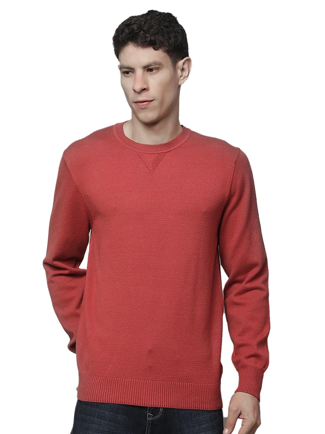 cantabil Sweater for Men | Winter Wear Fancy Fabric Pull-On Closure Round Neck Regular Fit Solid Pattern-picture-31