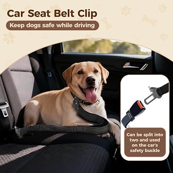 9.7FT Detachable Hand-Free Heavy Duty Tactical Dog Leash, Black