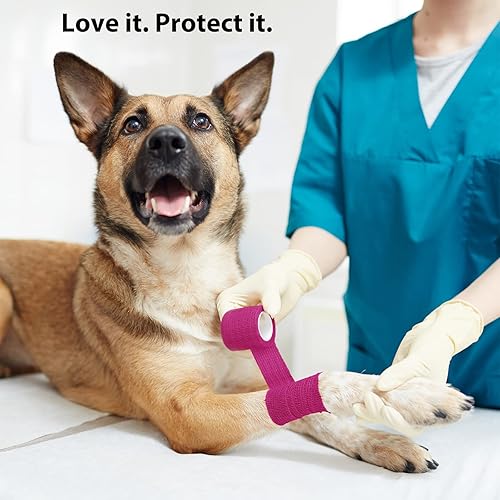 Miniatura 6 de FriCARE Envoltura de vendaje autoadhesiva, cinta médica en kit de primeros auxilios, vendaje cohesivo para deportes y atletismo, envoltura