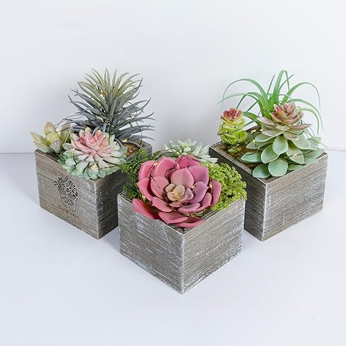 Miniatura 7 de Mingfuxin Pequeñas plantas falsas, paquete de 3 mini plantas suculentas artificiales con luces LED para interiores, baño, dormitorio, escritorio,