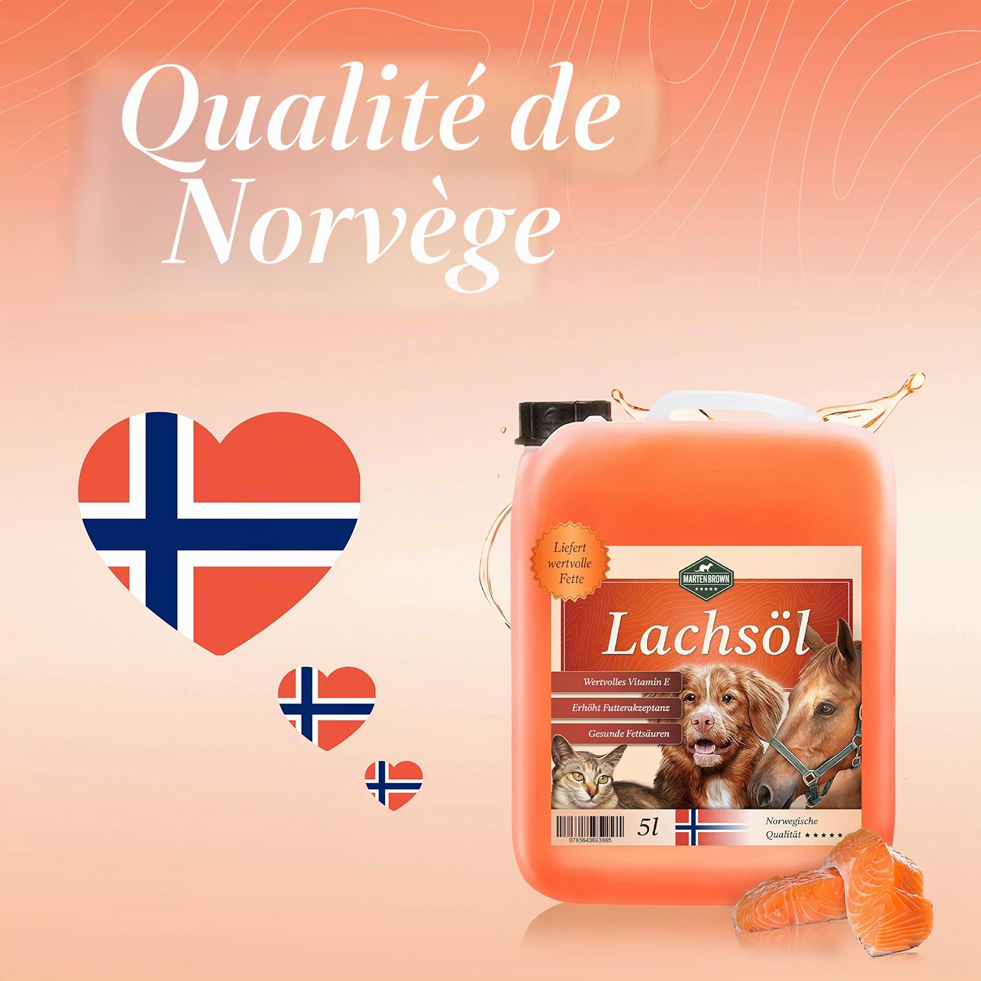 Martenbrown® 5 litres d'huile de saumon premium norvégienne pour chiens, chevaux et chats | Huile de poisson en bidon | pour nourriture sèche, conserves ou comme huile Barf