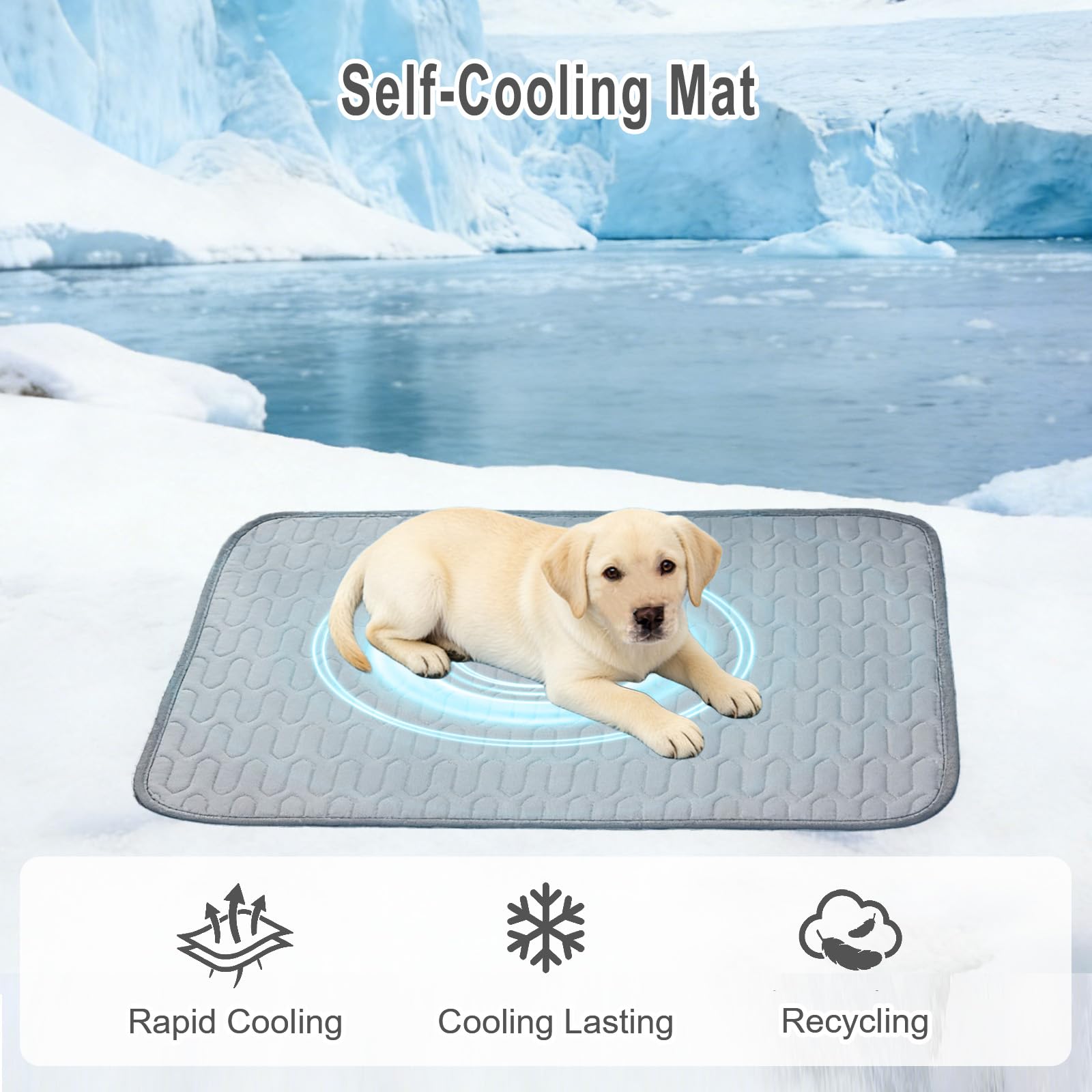 Kühlmatte für Hunde Katzen Haustiermatte aus Eisseide, Selbstkühlend Hundematte Hundebett, Faltbar Kältematte für Haustiere, Pet Cooling Mat für Sommer Drinnen Draußen - 55 * 70CM