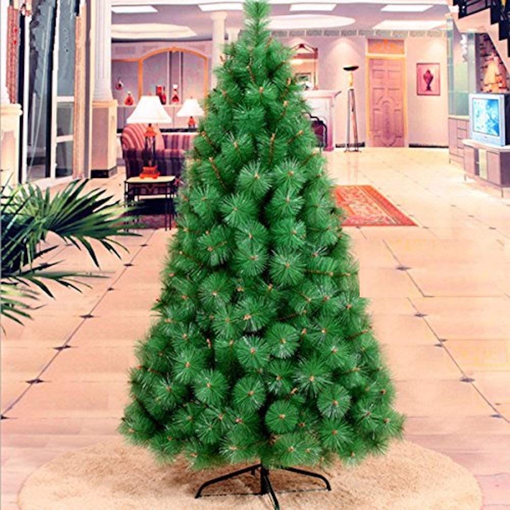 GooGreen Christmas Tree Morpankhi Thuja Compacta Araucaria