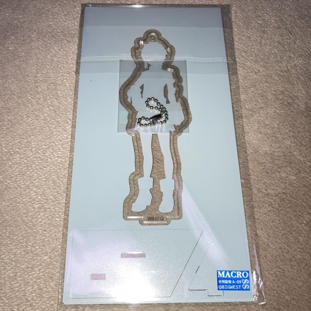 Amazon.co.jp: M魂 マクロスΔ レイナ アクリルスタンド : ホビー