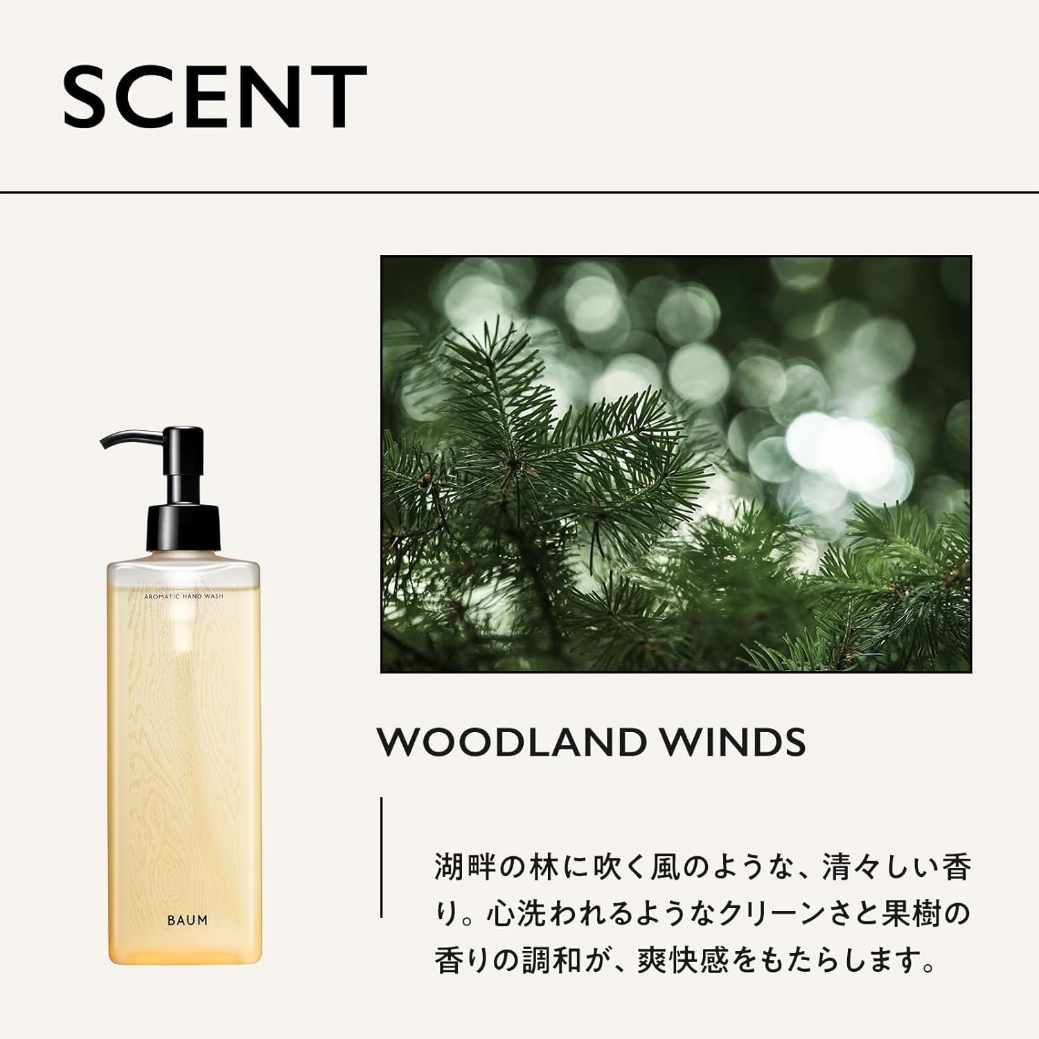 Amazon.co.jp: BAUM(バウム) アロマティック ハンドウォッシュ n 本体