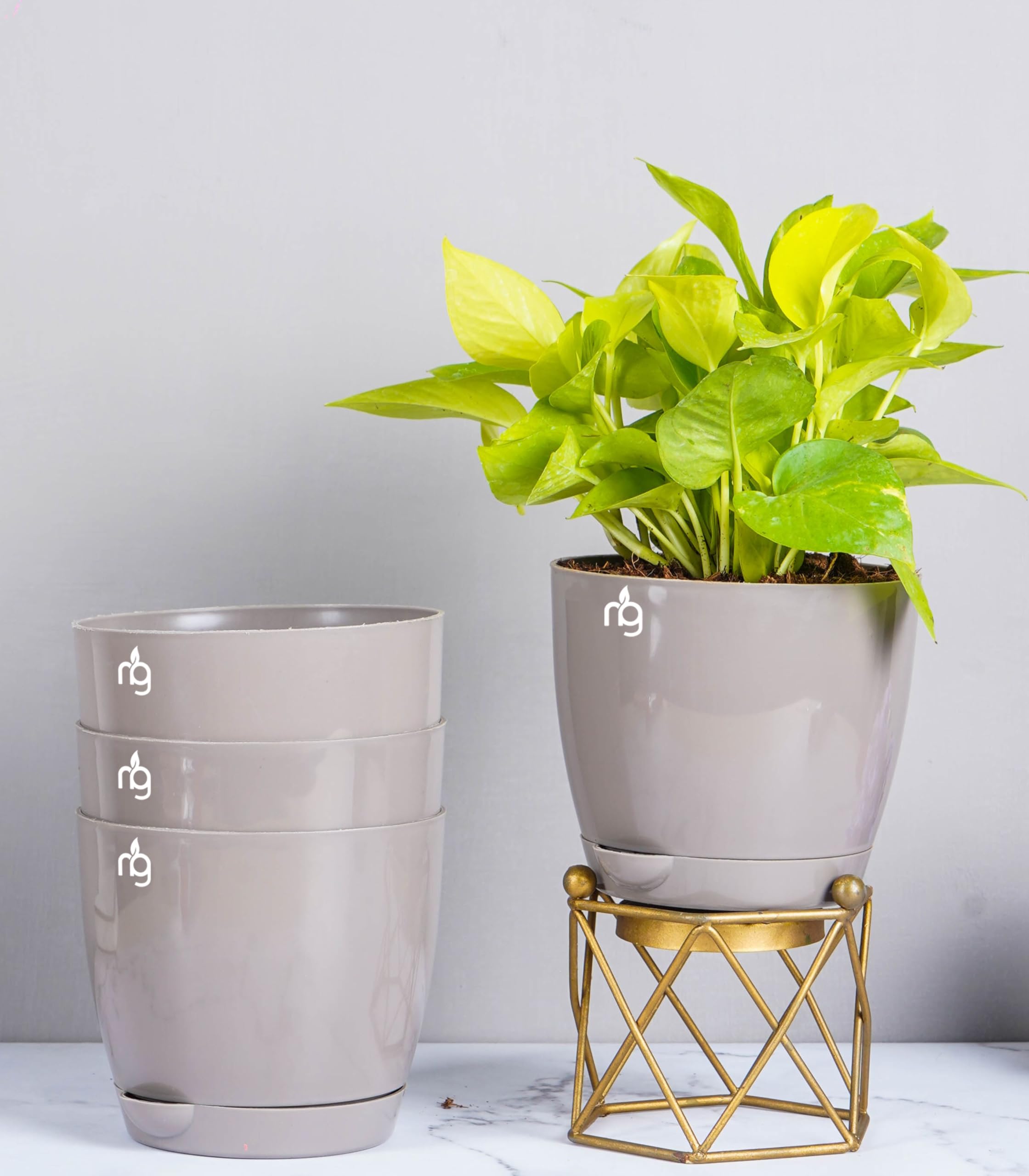 Nurturing Green® Combo of 4 Grey Self Watering Pots for Plants | Plastic Pots for Plants | Plant Pots | Flower Pot (5.5 Inch Wide*5 Inch High) - [Plants are not Included] (B0BGWRZ8VT) Amazon Price History, Amazon Price Tracker
