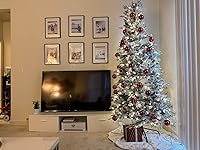 Review Image by Anna Marie Nachura Anna Marie Nachura