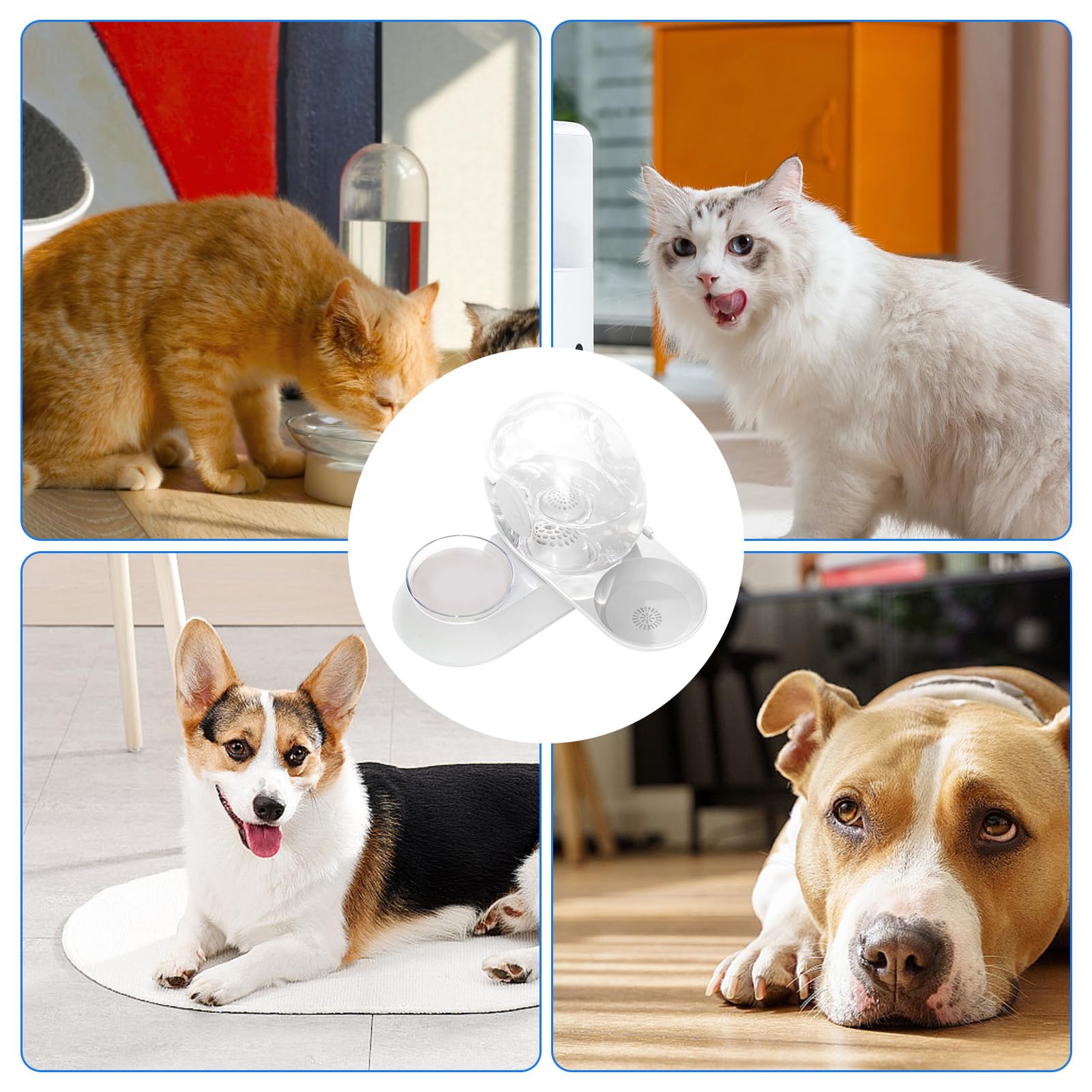 Bebedero para Perros Bebedero De Sifón En Forma De Caracol para Mascotas | Dispensador Automático De Agua Para Gatos para Cachorros Conejos y Mascotas