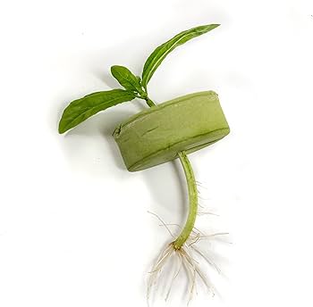 Amazon.com: TurboKlone T24 Aeroponic 24 Site Cloner : Patio, Lawn