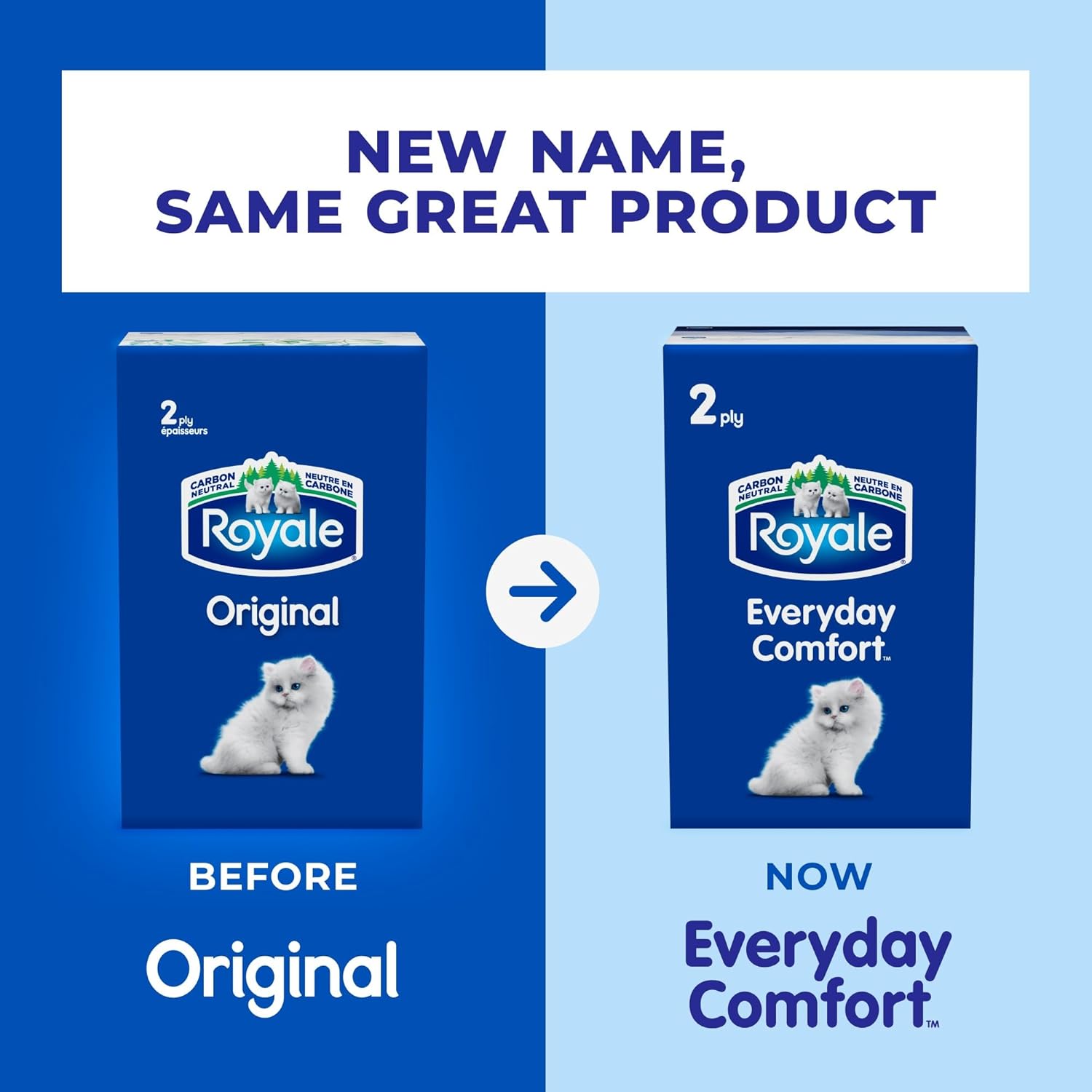Royale tissue detail