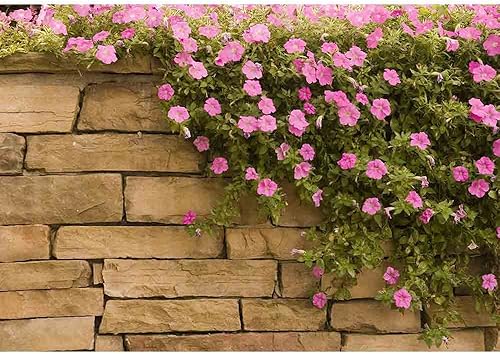 Miniatura 8 de wall26. Papel para empapelar autoadhesivo, grande, serie de mural., WMR-WP-X-C409-66x24x4