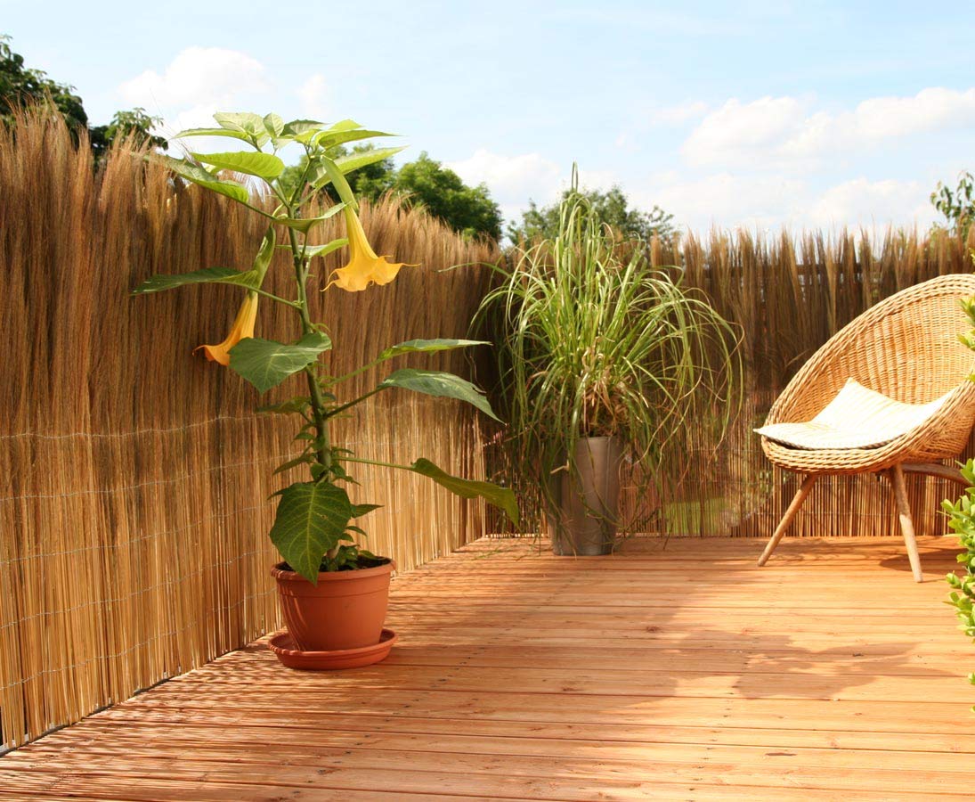 bambus-discount.com Osłona balkonu Model California 100 x 300 cm Farnmatta z kwiatami i wawrzynami 1m x 3m