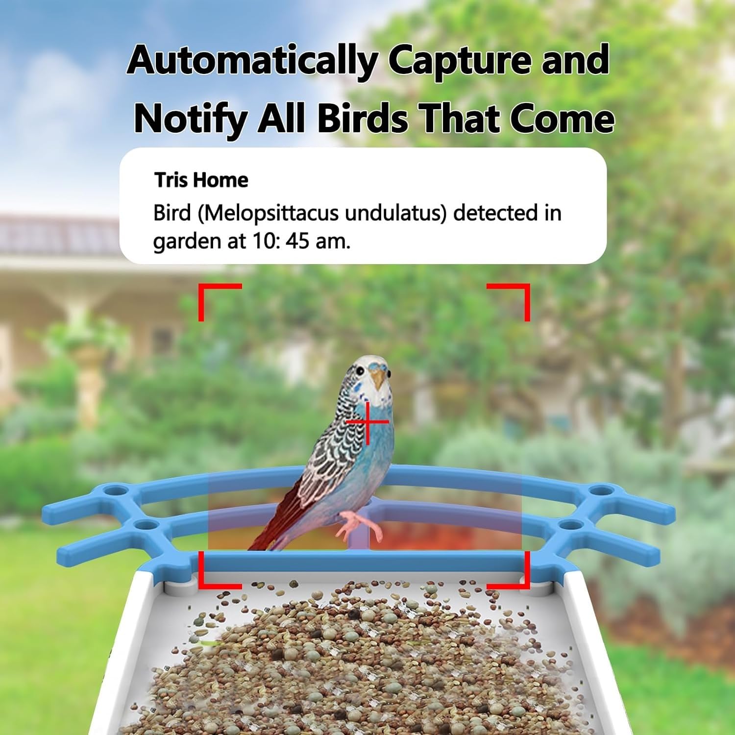 Comedero Inteligente For Pájaros con Cámara, Captura Automática, Grabación De Vídeos De Aves Y Notificaciones Instantáneas De Aplicaciones, Comedero For Pájaros, For Amantes De Las Aves