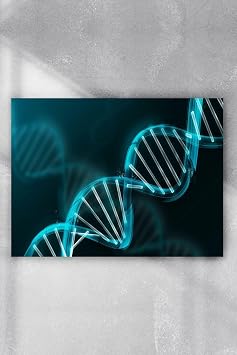 Postermanya pster3924 Dna Bilimsel Poster 30x40cm