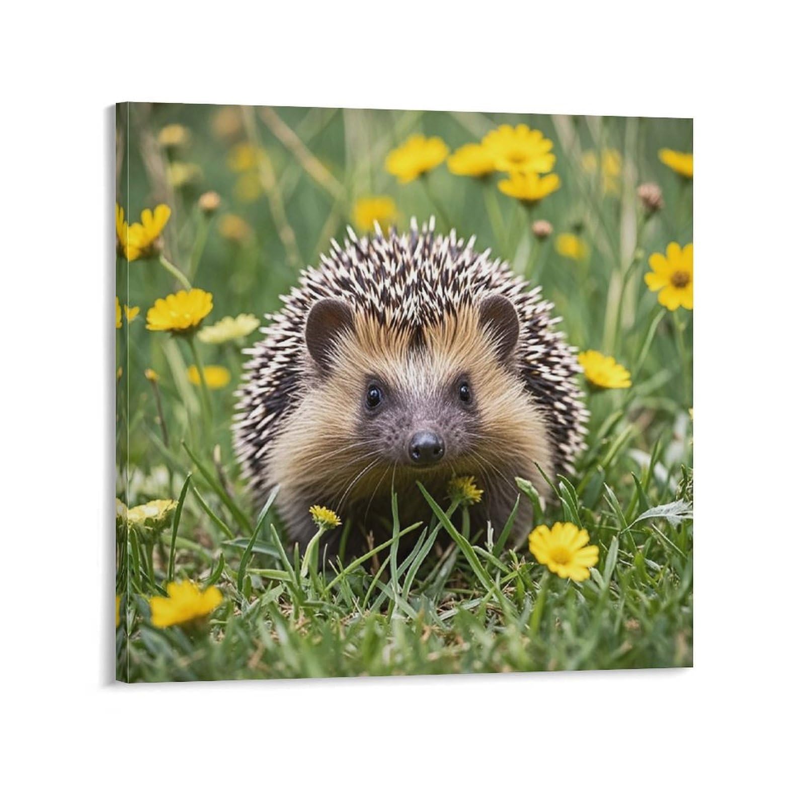 KLOPH Hedgehog Canvas Wall Art for Living Room 10x10inch Modern Artwork Painting for Bathroom Hanging Canvas Prints Aesthetic Wallart for Bedroom Kitchen Office Wall Decor