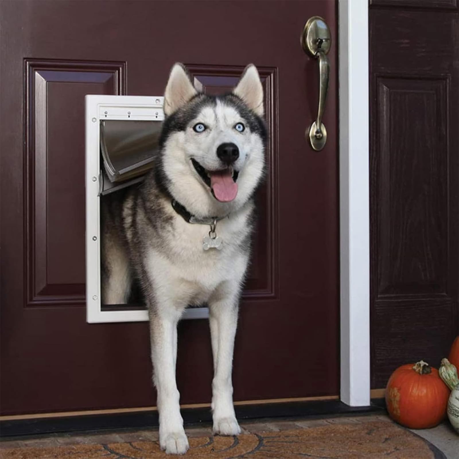 Große Hundeklappe, Wetterfeste Haustiertür, Verschließbare Große Hundeklappe, Extra Großes Loch Für Haustiertür, Für Innen-/Außentüren, Für Katzen Und Hunde