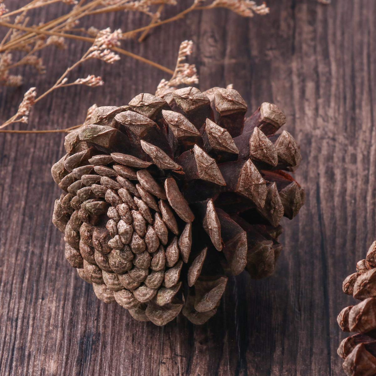 50 Natürliche Tannenzapfen 6-8cm Weihnachtsbaumschmuck | Wiederverwendbar, für Winter und Weihnachten, Geeignet für Vitrine und Küche