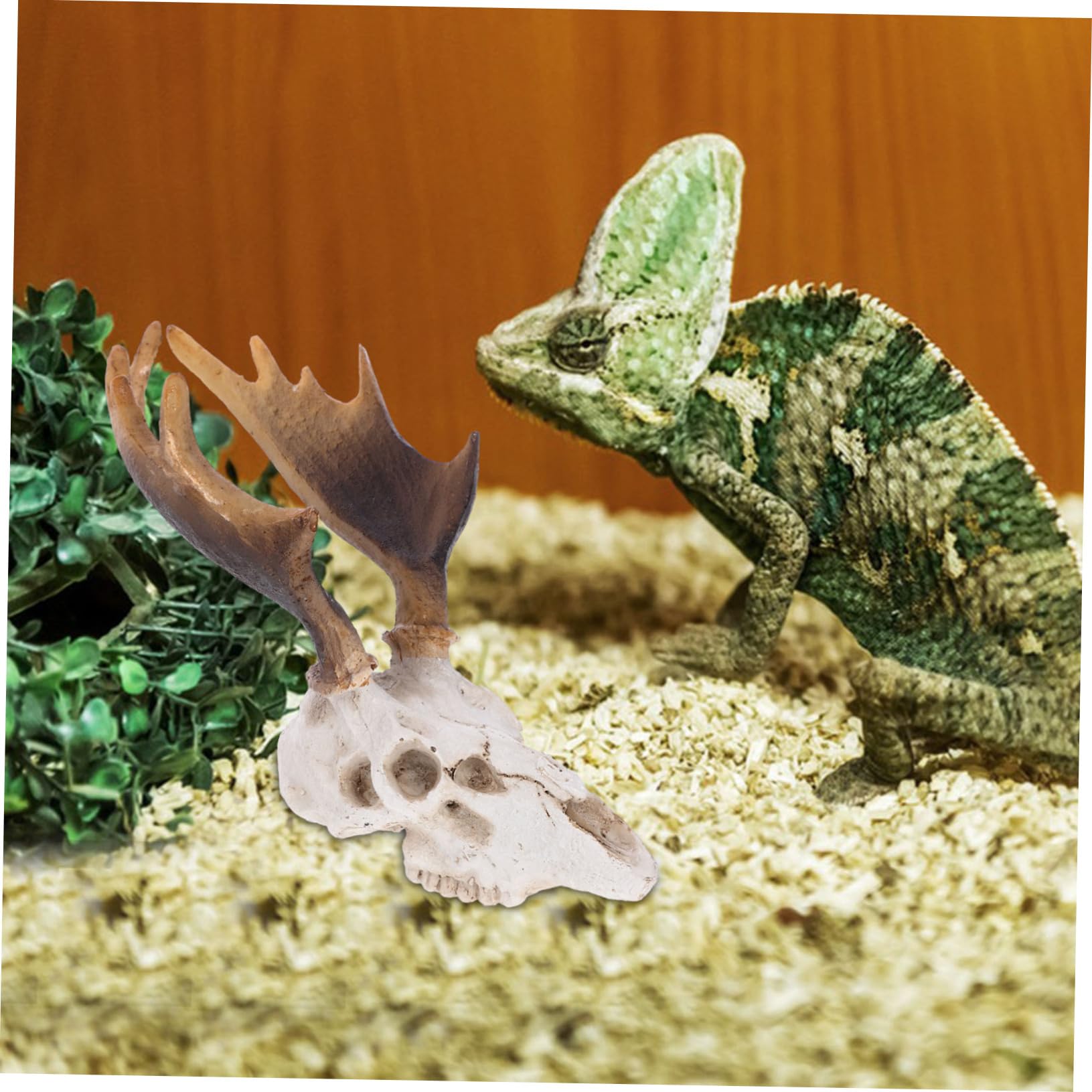 Toddmomy 3stücke Reptile Tank Dekoration Deer Skull Versteck Höhle Für Reptilien Baumaterialien Für Terraristische Pflegeleichtes Harzdesign
