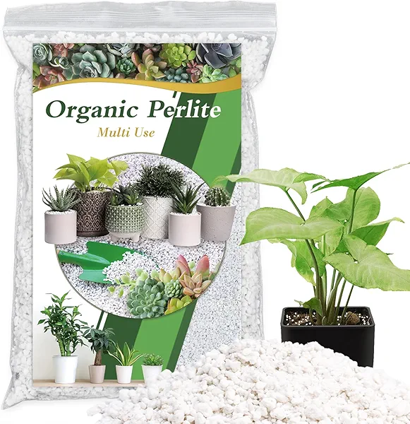 HAINANSTRY Organic Perlite for Plants, Enhances Soil Drainage and Aeration, Perfect Perlite for Plants Indoor & Outdoor, Horticultural Perlite for Gardening, Perfect for Potting Mixes, 2QT