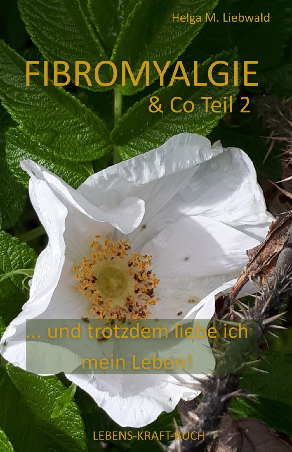 Fibromyalgie & Co Teil 2: ... und trotzdem liebe ich meine Leben! (LEBENS-KRAFT-BUCH)
