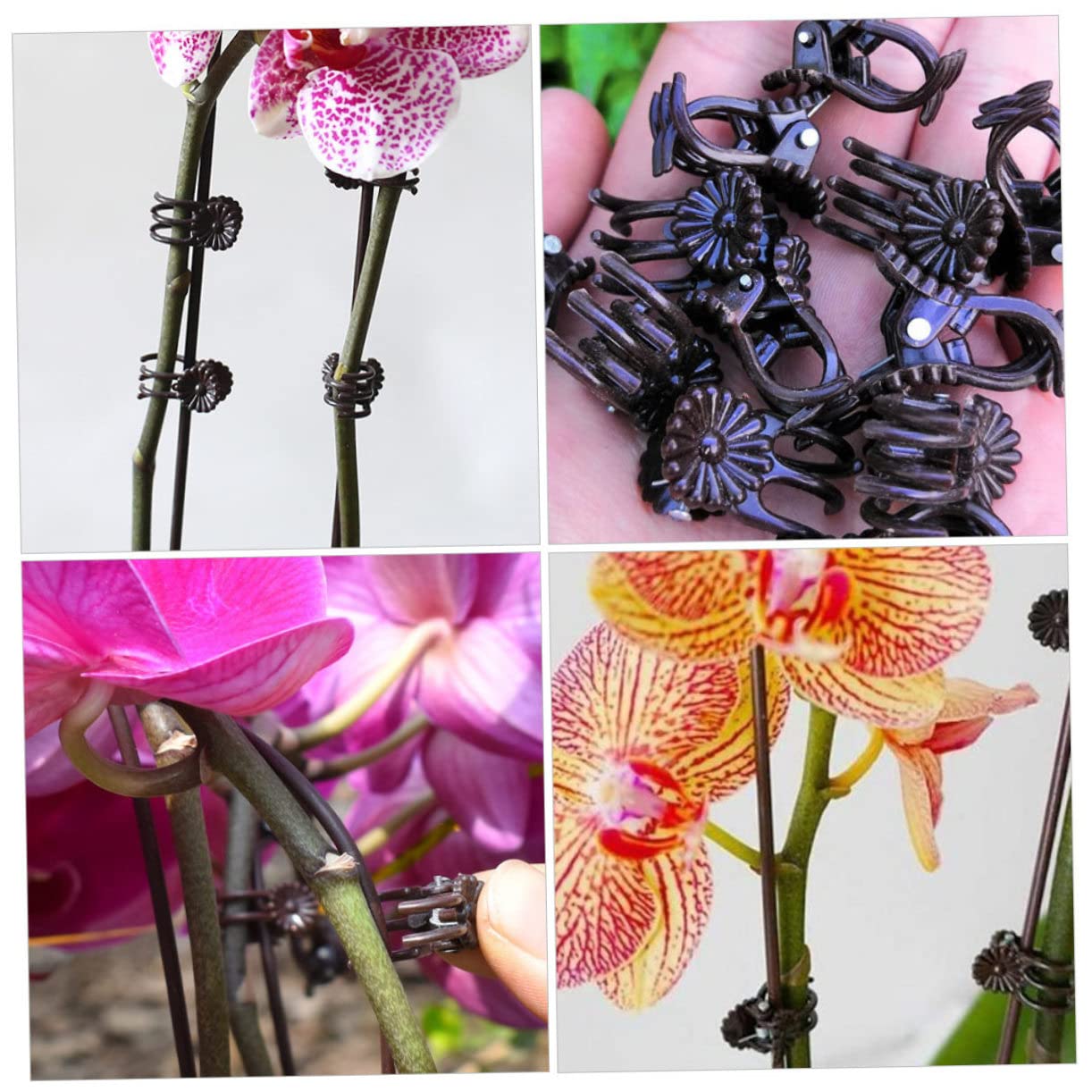 ibasenice 2 Sätze Blumenzweig Jacken Set Garten Befestigungsklammer Pflanzen Kletterstütze Zimmerpflanzen Wand Stützklammern Pflanzenklammern Pflanzen Festklammer 20 Stück * 2