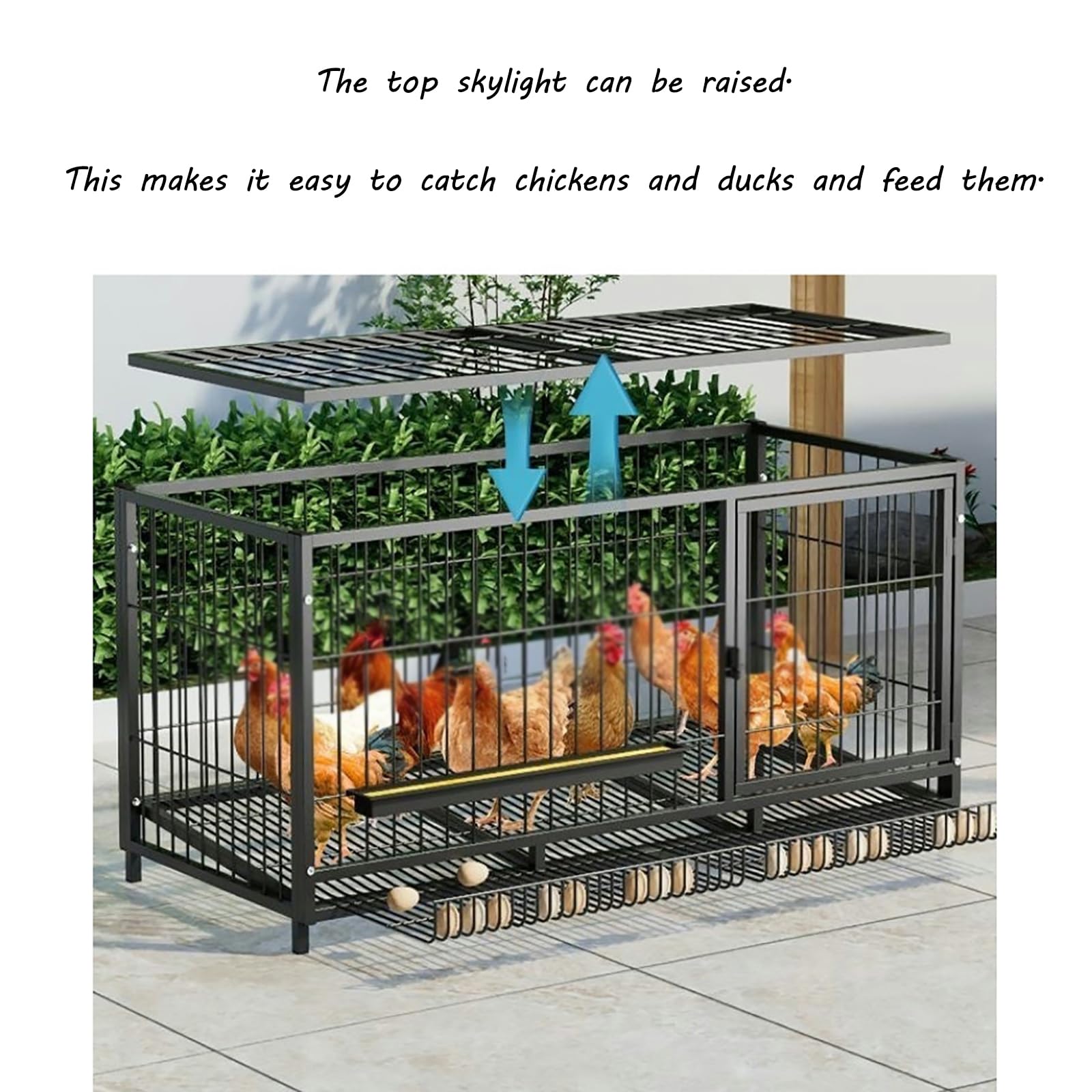 Gallinero con polea y nidales, Reforzado con Alambre de Acero Engrosado, Completamente Equipado, de fácil Montaje, Adecuado para Uso en Interior y Exterior.-M